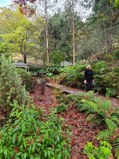 mental health retreats victoria.